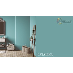 CATALINA VAADRUM NY.jpg